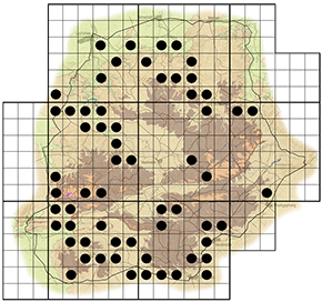 Spirostachys africana Waterberg distribution